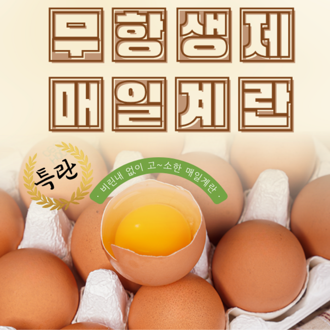 매일계란 매일농장 친환경 무항생제 특란 30구, 1개, 2kg 내외