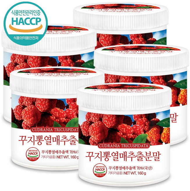 푸른들판 국산 꾸지뽕 열매 분말, 5개, 160g