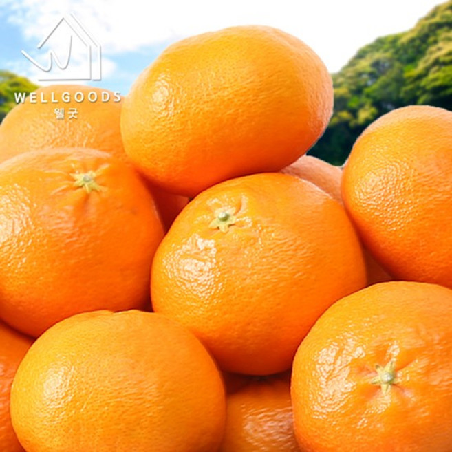 [웰굿] 제주직송 새콤달콤한 레드향 1kg(7-8과내외소과), 없음, 1