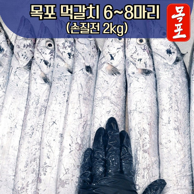 [전남 목포] 먹갈치 생물 6미~8미 손질 후 1.3~1.5kg 산지직송 당일경매, 1개, 2kg(6~9미)