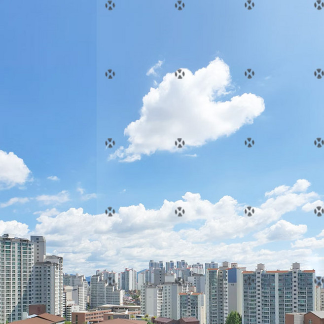 (15시이전 주문건 당일출고) 현대 조류충돌방지 필름/버드프렌드/버드가드/버드세이브/조류보호필름/새충돌방지, (폭)76cm, POV88041