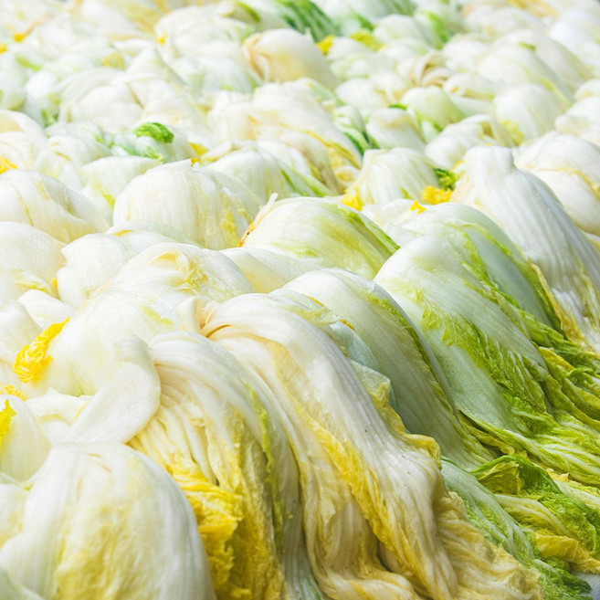 흙당 갓절인 명품 해남 땅끝마을 절임배추 김장배추, 1, 1박스, 20kg