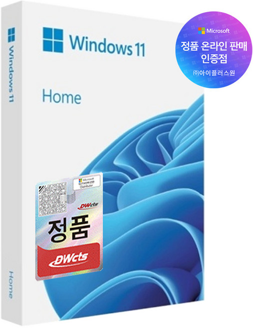 마이크로소프트 윈도우11 홈 처음사용자용 FPP + USB 8G 사은품, Windows11Home+8GB(사은품)
