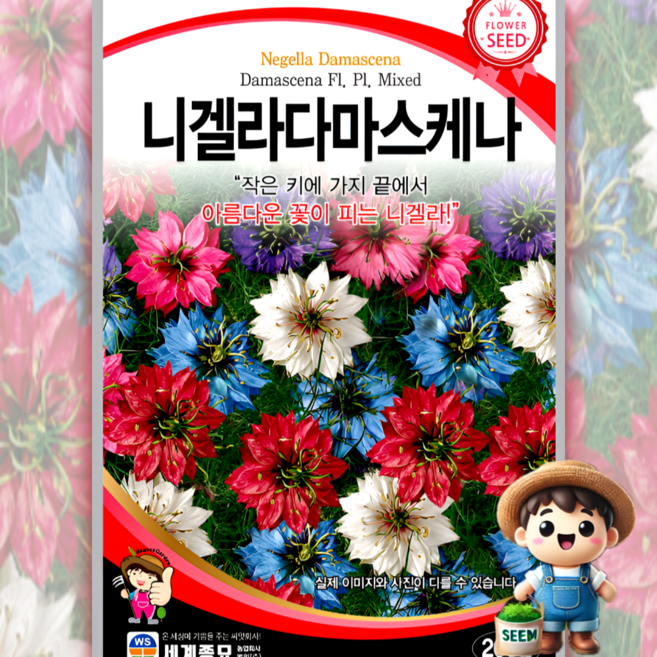 모칸도 (무배)세계 니겔라다마스케나 꽃씨 (200립), 1개