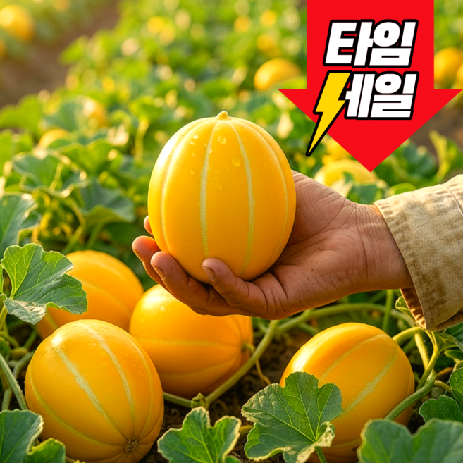 [특가할인] 재구매율1위 산지직송 꿀당도 성주참외 (가정용 소과), 1박스, 2kg