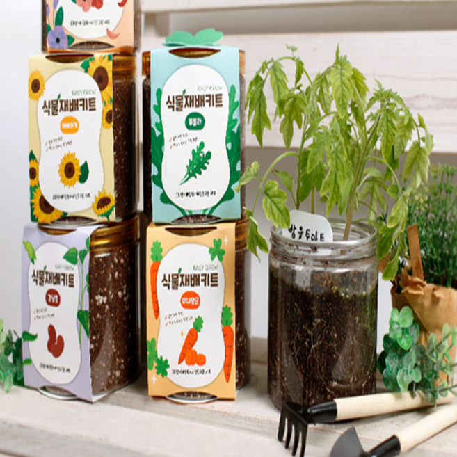 어뉴 식물 재배 키트 2set, 랜덤2개(상세페이지 참고)
