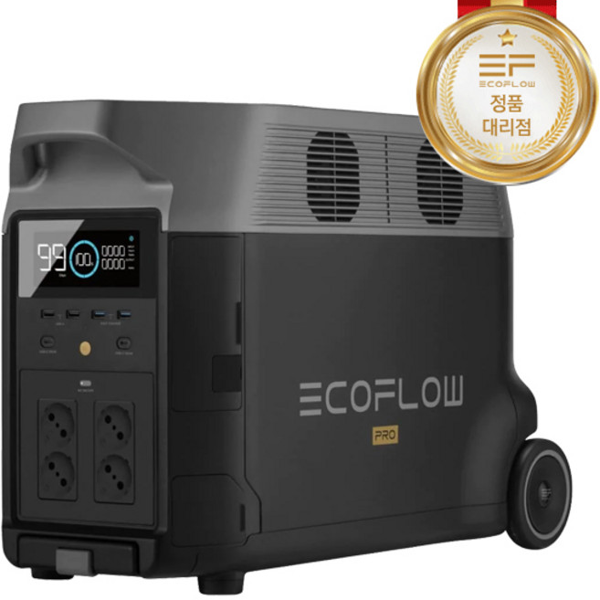 에코플로우 델타 프로 대용량 파워뱅크 배터리, 1