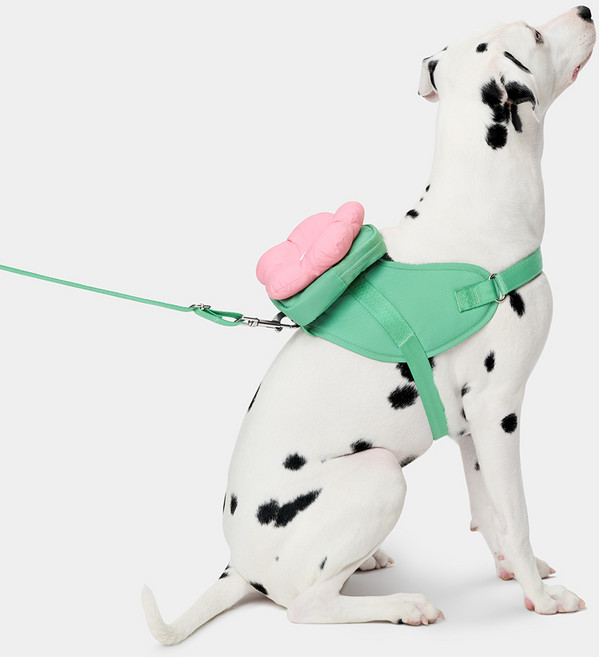 VETRESKA 플로라 펫 하네스 & 백팩 세트, 1개