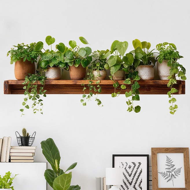 바이앤뷰 감성 인테리어 데코 스티커, 초록화분