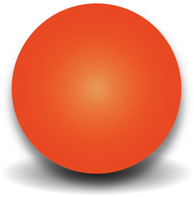 NORDITION 曲棍球 - 5個/組 台灣製 55G 65MM 陸上曲棍球 街上曲棍球 冰球 控球 球餅, 橘色, 1套