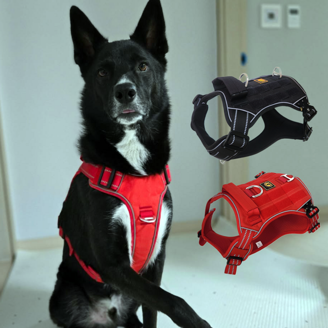 도그벤처 아틀라스 중형견 대형견 하네스 H형 HARNESS 앞섬방지 시바견 리트리버, 1개, 레드