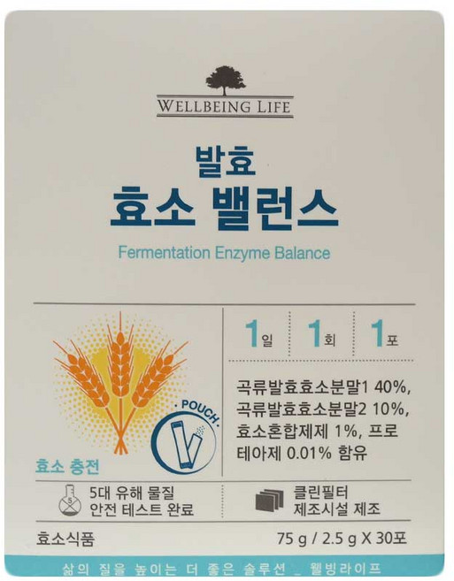 코리아나 웰빙 라이프 발효 효소 밸런스75g(2.5gx30포), 75g, 1개