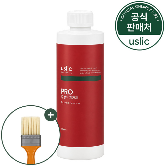 어슬릭 붓으로 바르는 곰팡이 제거제 벽지 베란다 실리콘, 1개, 500ml