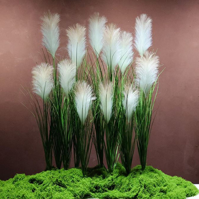 osshop 억새풀 인조 인테리어 갈대 조화, 5개, 1p 갈대조화 60cm - 화이트브라운