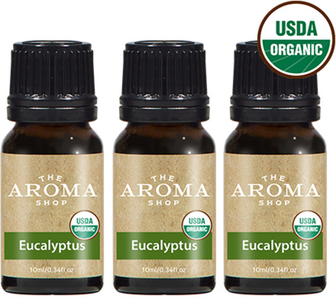 더아로마샵 USDA 유기농 에센셜오일 디퓨저 아로마테라피 숙면 힐링, 3개, 10ml, 유칼립투스 유기농 에센셜오일