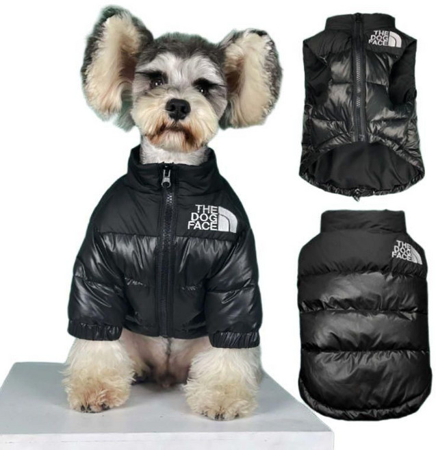 강아지 더도그페이스 블랙 패딩 5 color, 블랙-패딩조끼