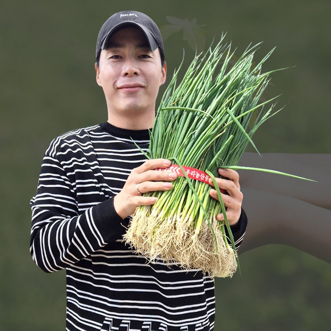 흰대가 많은 대파모종 다발 대파모종 50개