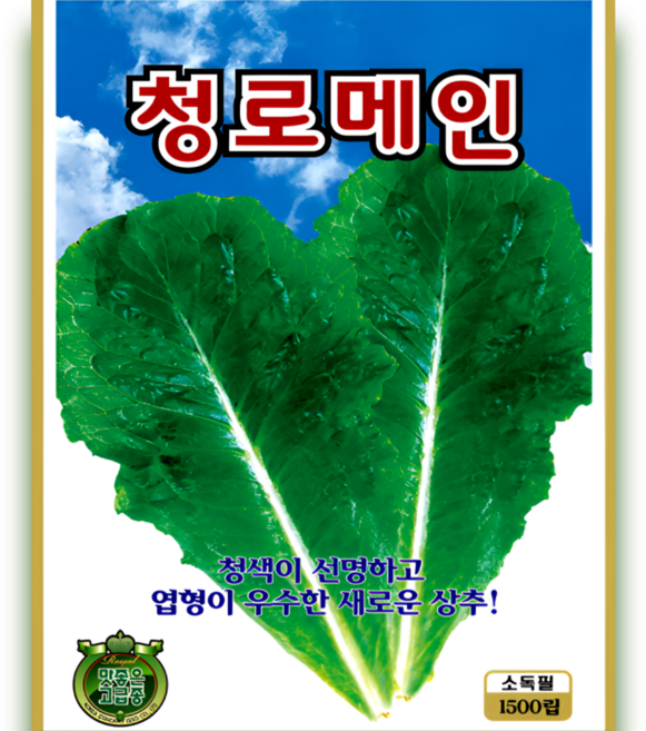 청로메인 상추 씨앗 청색로메인 청색상추 엽형우수 샐러드겸용 1500립 ks, 1개