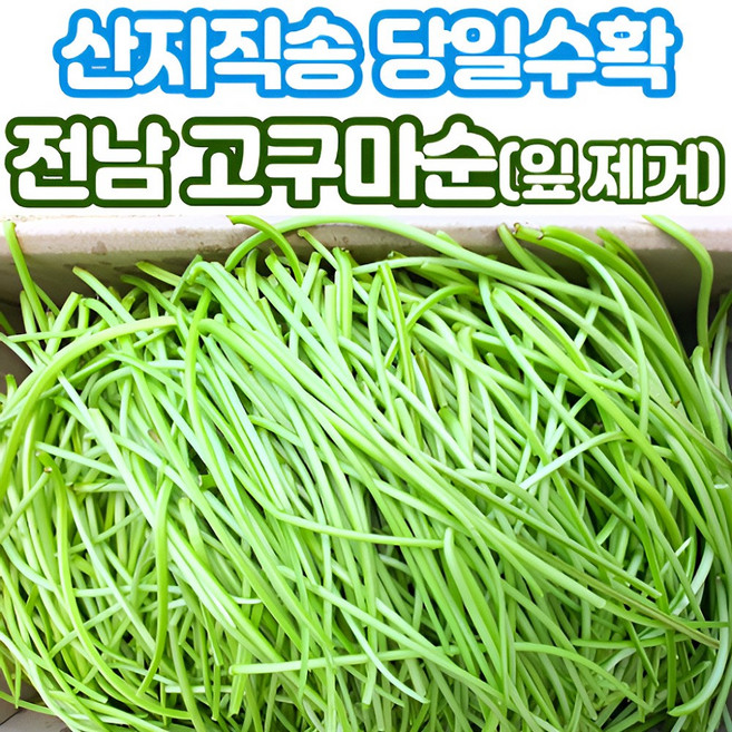 산지직송 당일수확 고구마줄기 고구마순 청대, 1개, 2kg