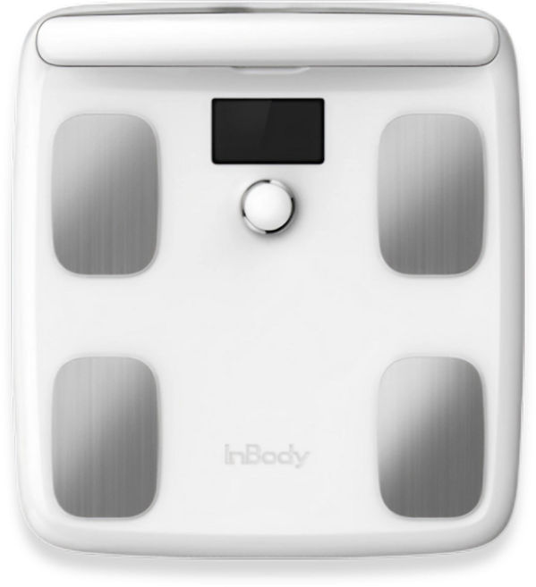 인바디 NEW 가정용 체지방계 InBodyFit, 화이트, 1개
