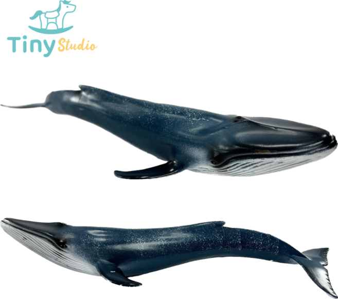 타이니스튜디오 대왕고래A 흰수염고래 피규어 장난감 완구 모형 해양동물 바다생물 고래 상어 KC인증, 1개