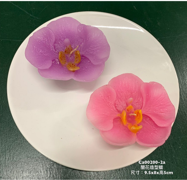 蝴蝶蘭造型蠟燭, 1個