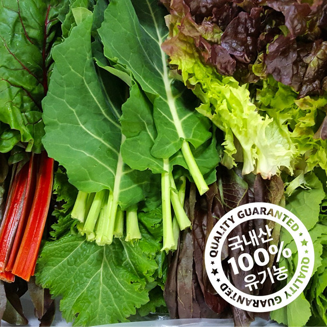 유기농 쌈채소 무농약 퇴비농법으로 건강하게 키운 모둠 쌈채소 샐러드 채소 상추 케일 적겨자 적근대 로메인, 1개