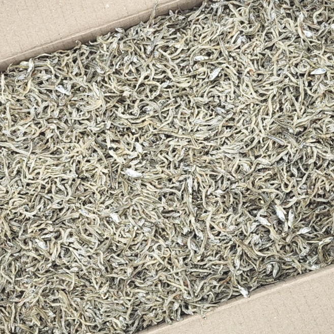 국산 햇 상급 지리멸치 1.5kg 잔멸치 세멸 볶음용, 1박스