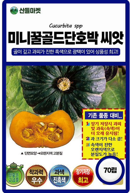 산들마켓 미니꿀골드 단호박 씨앗 10립 과 크기가 다소크고 속색이 진한 미니 단호박씨 고급 품종 종자, 5개