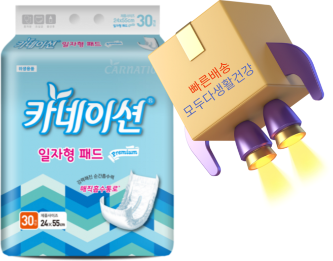카네이션 속기저귀 일자고급형 30개입 성인기저귀, 30매입, FREE(onesize), 1개