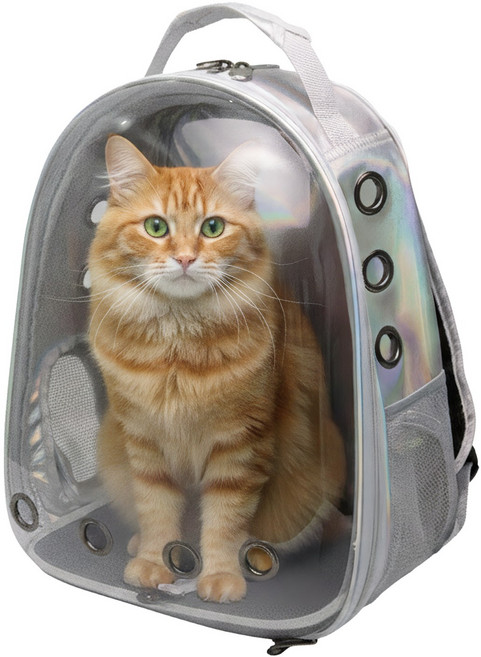 우아지오 반려동물 투명 외출가방 우주선 백팩, 1개, 오로라그레이(2026 NEW)