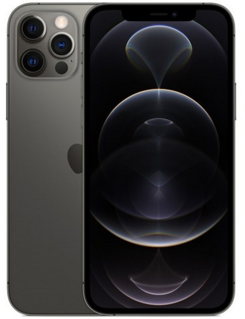 Apple 아이폰 12프로 256GB 공기계 대단한형제들 검수통과 및 안심살균패키지, 그래파이트 대단한형제들 구성품