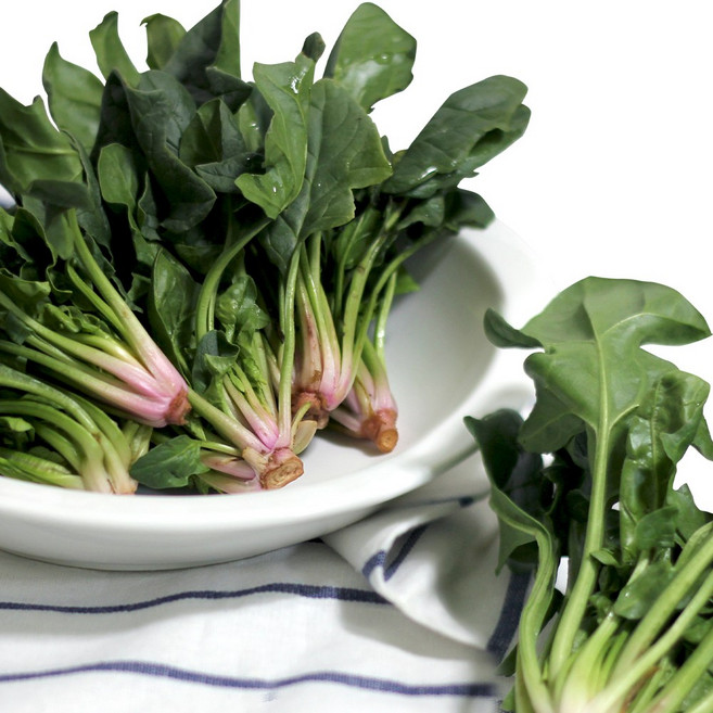 해풍맞아 맛있는 포항 영해초 시금치, 1박스, 300g