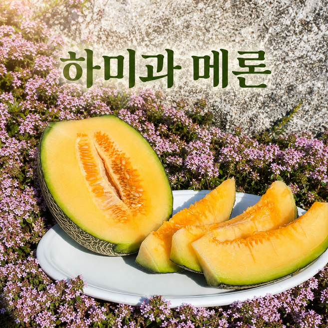 [로얄과] 산지배송 고당도 하미과 메론 멜론, 1박스, 2kg