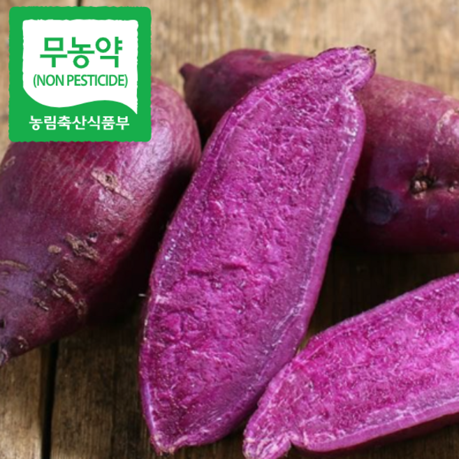 25년 맛있는 무농약 해남 자색고구마 산지직송, 1개, 5kg(중)