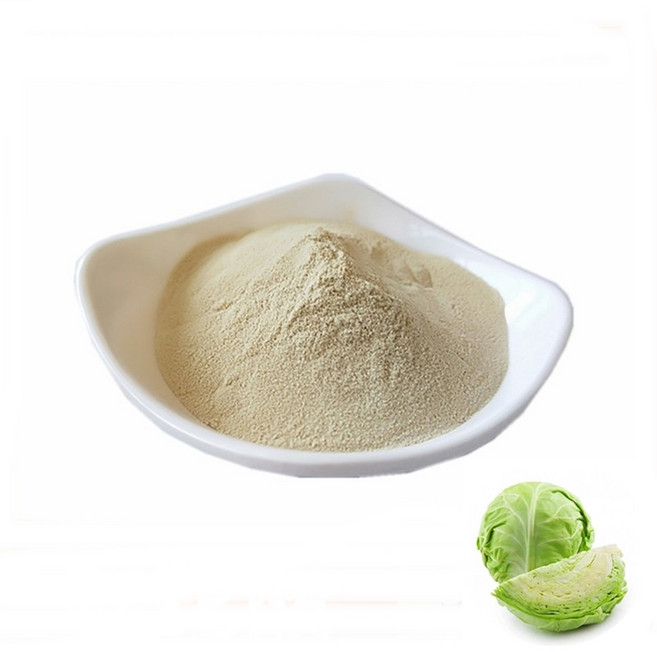 양배추추출분말 100g 샘플, 1개