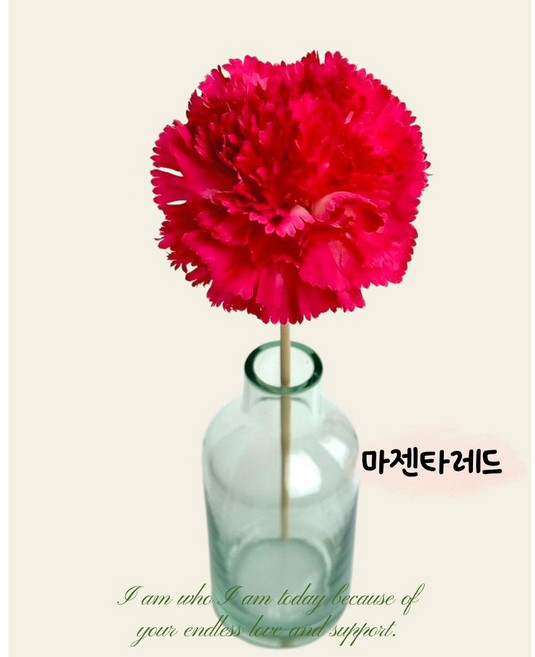 캔디프 카네이션 디퓨저스틱 카네이션스틱 카네이션꽃, 2개입, 1개, 마젠타레드