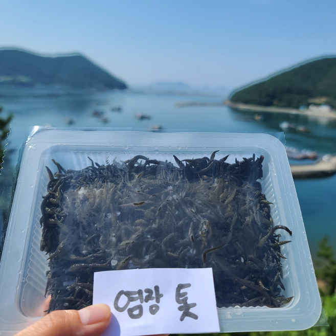 완도 산지직송 해조류 염장 톳, 4개, 250g