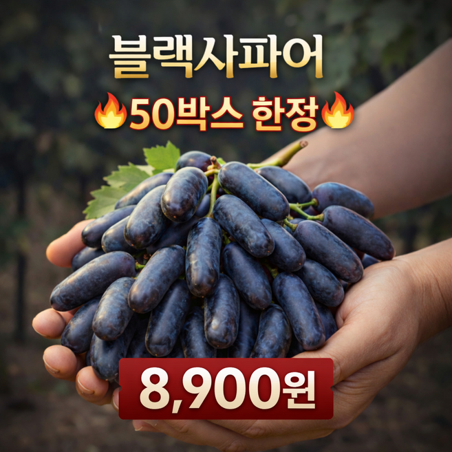 [100개 초특가] 고당도 블랙사파이어 포도 씨없는 포도, 1박스, 500g