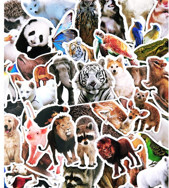 동물스티커 C형 세트 방수 동물원 실사 다꾸, C형/50장(1세트), 1세트
