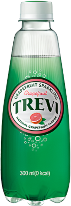 트레비 롯데칠성음료 자몽, 300ml, 10개