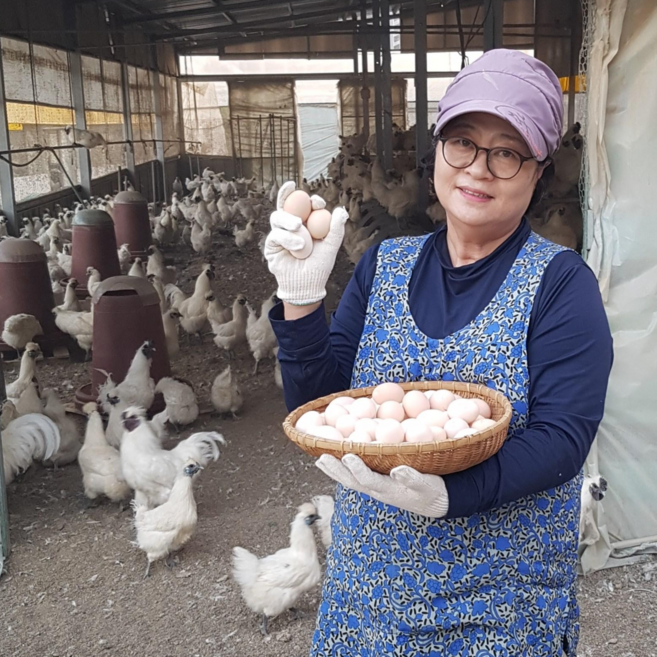 난각번호 1번 자연방사 백봉오골계 유정란 20알, 10구, 2개