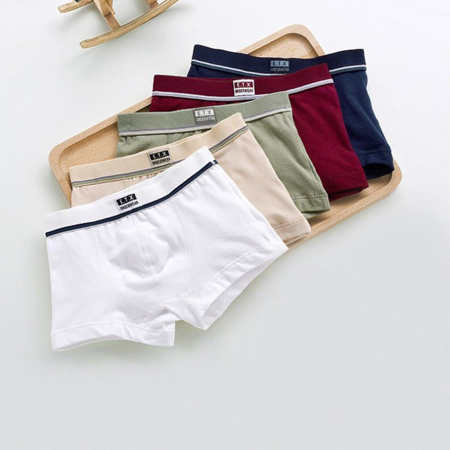 슈와츠코리아 유아동 팬티 남아 드로즈 5종 1세트