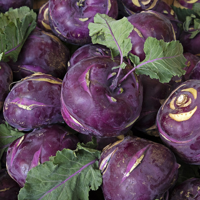 싱싱하고 아삭한 국내산 콜라비, 1개, 1kg