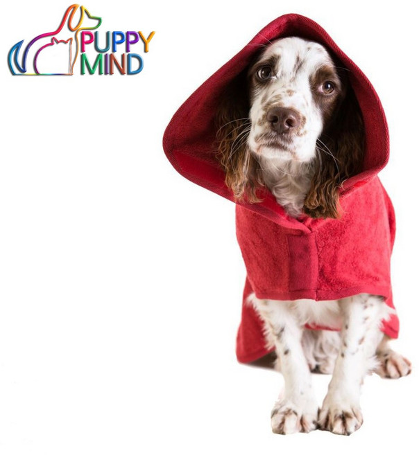 퍼피마인드 강아지 목욕가운 목욕타올 배스드롭 그린컬러 강아지옷, 그린, 1개