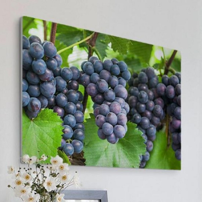 아트박스/꾸밈 pi468-폼아크릴액자78CmX56Cm_주렁주렁맺힌포도