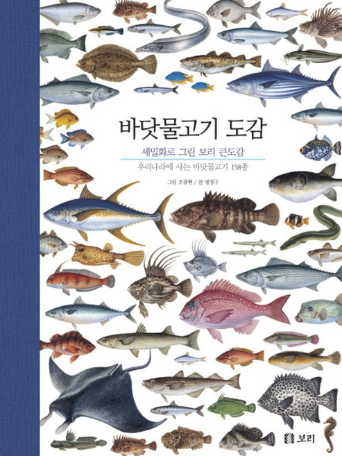 바닷물고기 도감:우리나라에 사는 바닷물고기 158종, 보리, 명정구 글/조광현 그림
