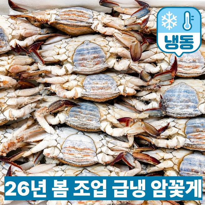 가성비 최강 봄 급냉 알배기 암꽃게, 1박스, 6미(1kg내외)