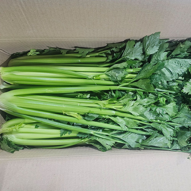 클릭마켓 국내산 셀러리 샐러리, 1개, 2kg