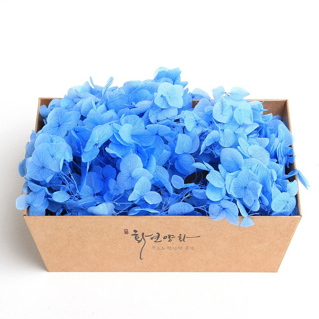 화연양화 프리저브드플라워 블루밍 케이스 수국 30색, 22 오션블루